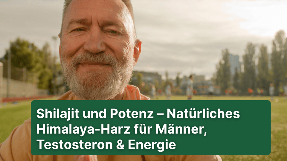 Shilajit und Potenz – Natürliches Himalaya-Harz für Männer, Testosteron & Energie