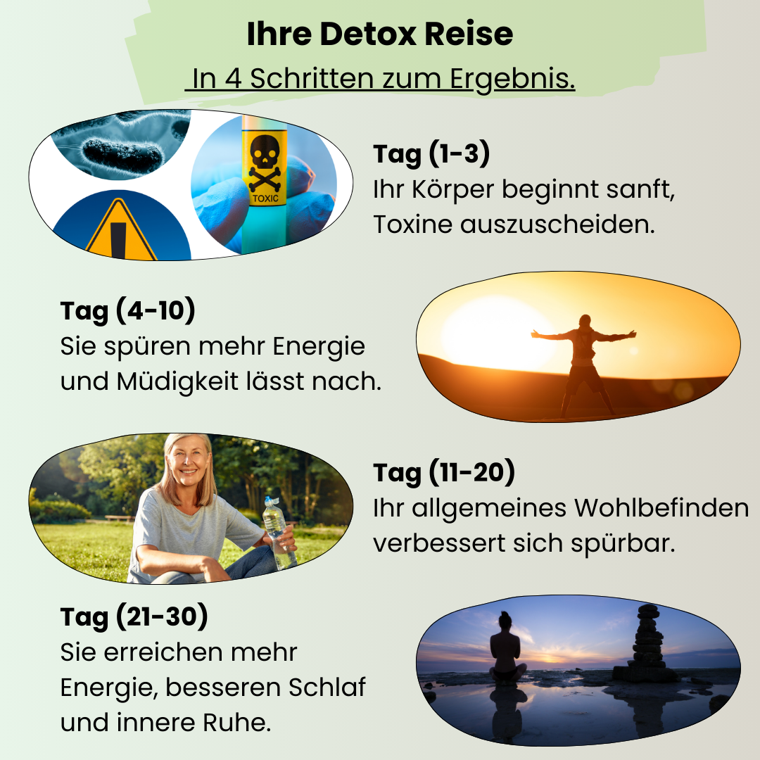 Visualisierte Detox-Reise in 4 Phasen mit Foot Detox Pads – Tag 1–3: sanfter Start der Entgiftung, Tag 4–10: mehr Energie, Tag 11–20: spürbar besseres Wohlbefinden, Tag 21–30: erholsamer Schlaf und innere Ruhe – ganzheitliche Detox-Wirkung im Überblick.