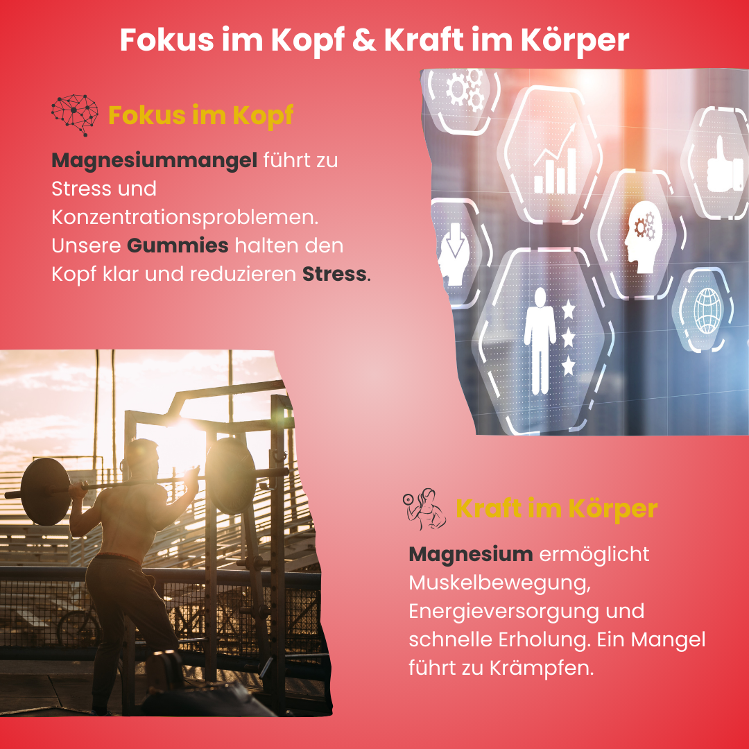 Fokus im Kopf & Kraft im Körper – Magnesium-Gummies unterstützen Konzentration, reduzieren Stress und fördern Muskelbewegung, Energie und Erholung. Ideal zur Vorbeugung von Krämpfen und zur mentalen Klarheit. Nahrungsergänzung für mentale Stärke und körperliche Fitness.