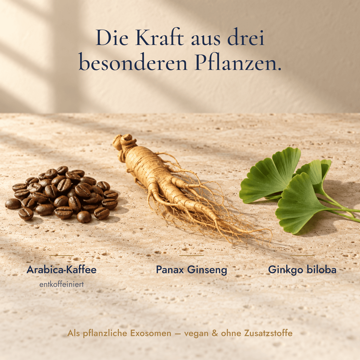 Alzeria® Memory Komplex - Doktor Health