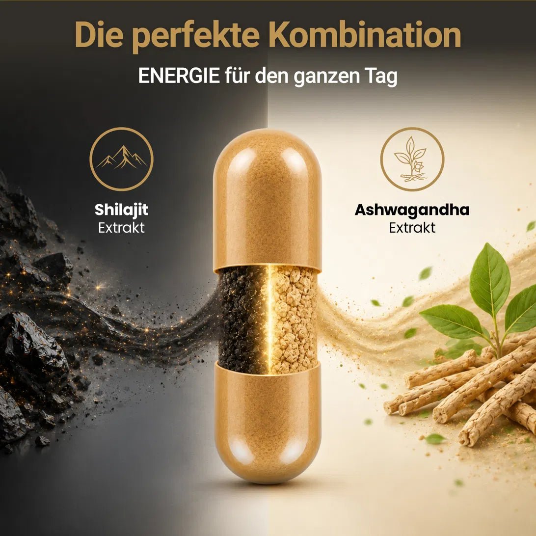 Premium Himalaya Shilajit Kapseln - Doktor Health