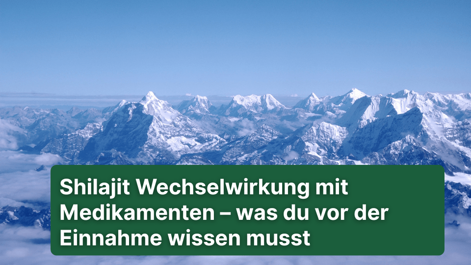 Shilajit Wechselwirkung mit Medikamenten – was du vor der Einnahme wissen musst - Doktor Health