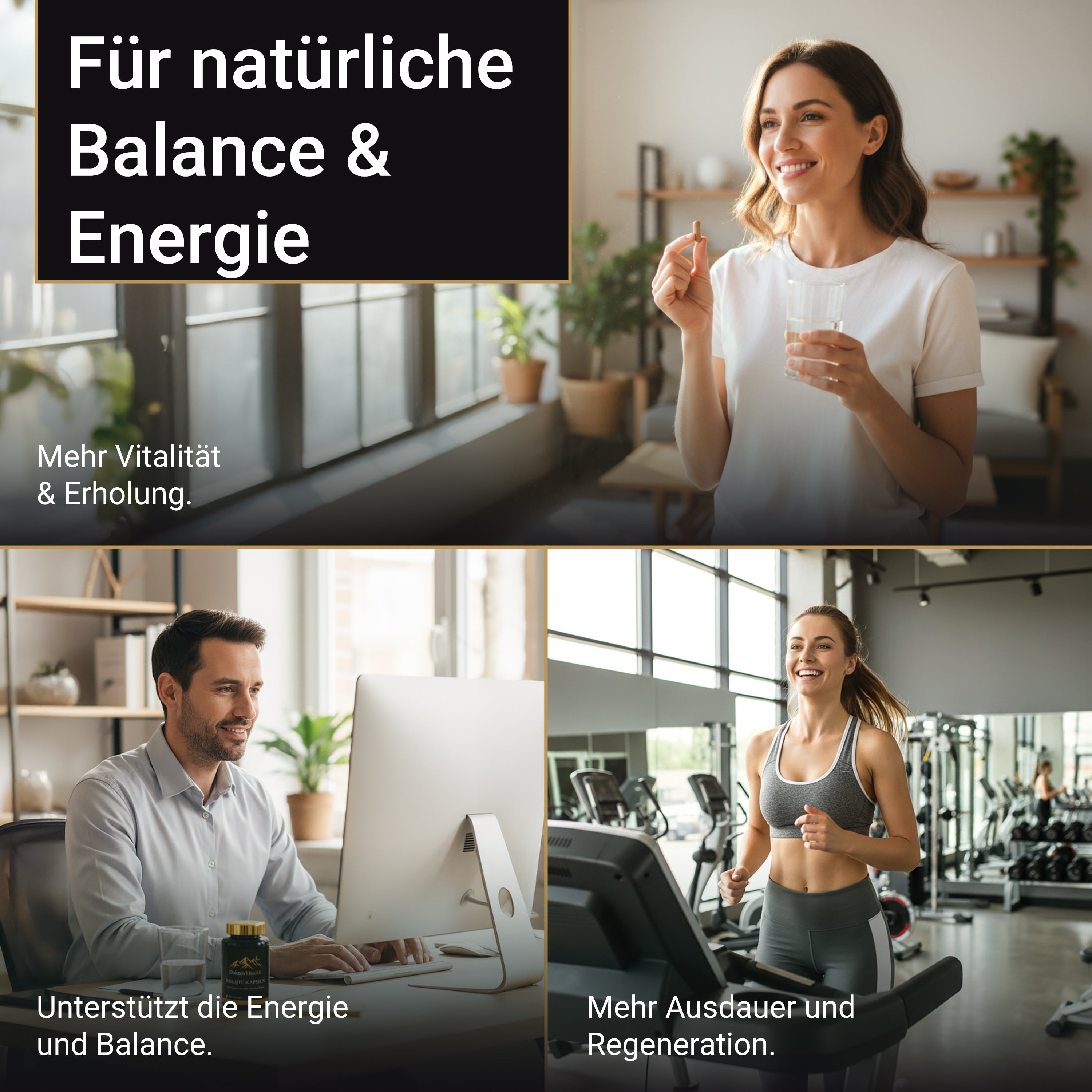 Premium Himalaya Shilajit Kapseln